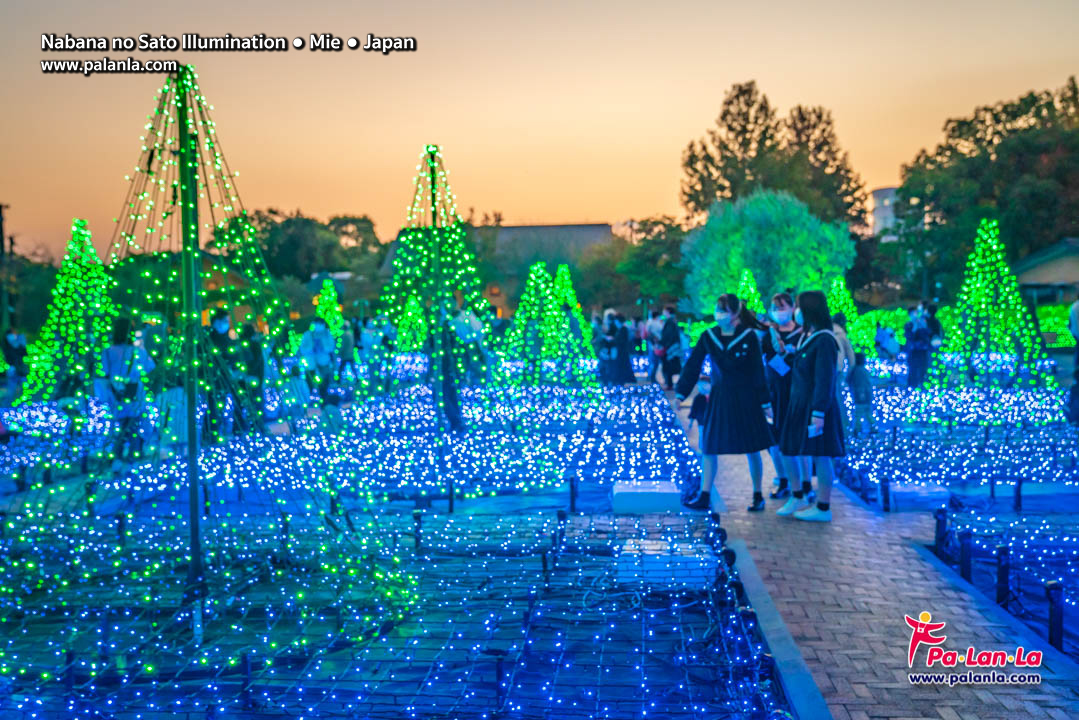 Nabana no Sato Illumination